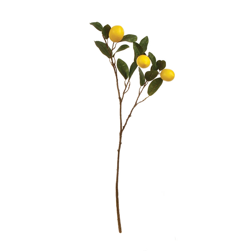 Napa Home Garden, LEMON BRANCH 29.5",gp237