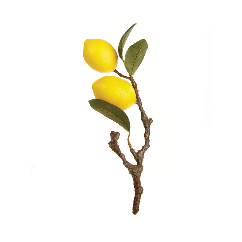 NAPA Home & Garden, LEMON CUTTING 11",GP240