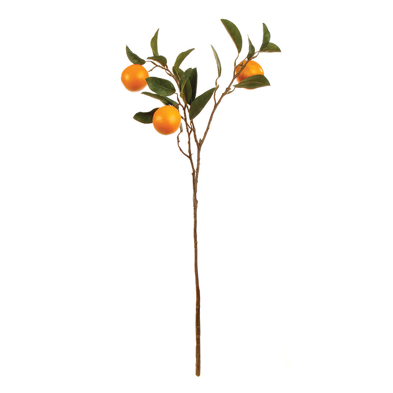 NAPA Home & Garden, ORANGE BRANCH 28.5",GP244