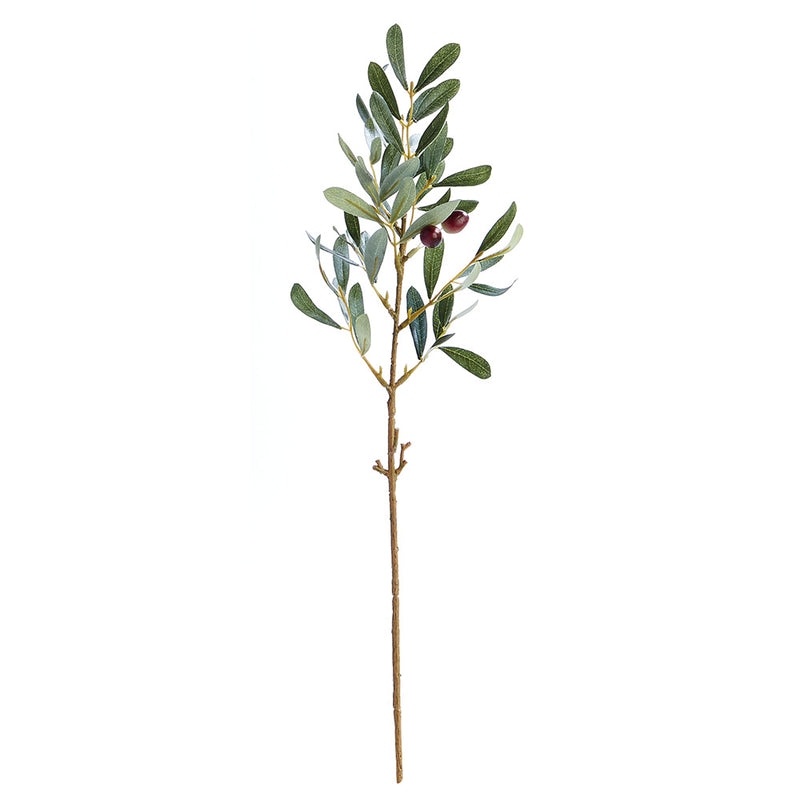 NAPA Home & Garden, OLIVE STEM WITH OLIVES 19.5",GP260