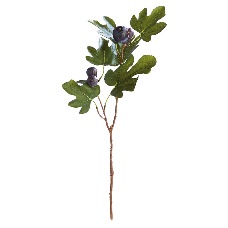 NAPA Home & Garden, FIG STEM WITH FIGS 21.5",GP263