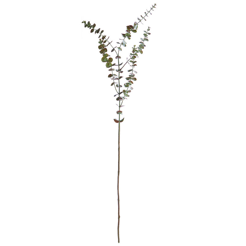 NAPA Home & Garden, EUCALYPTUS BRANCH 44",GP274GR