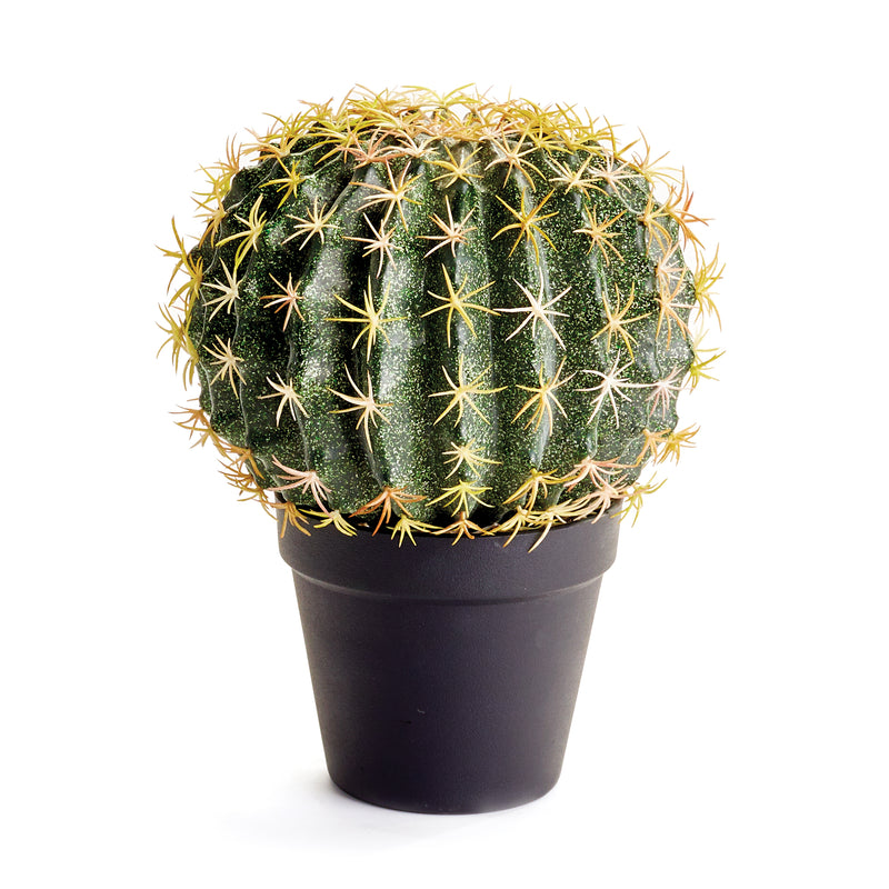 NAPA Home & Garden, CACTUS DROP-IN 9",GP277