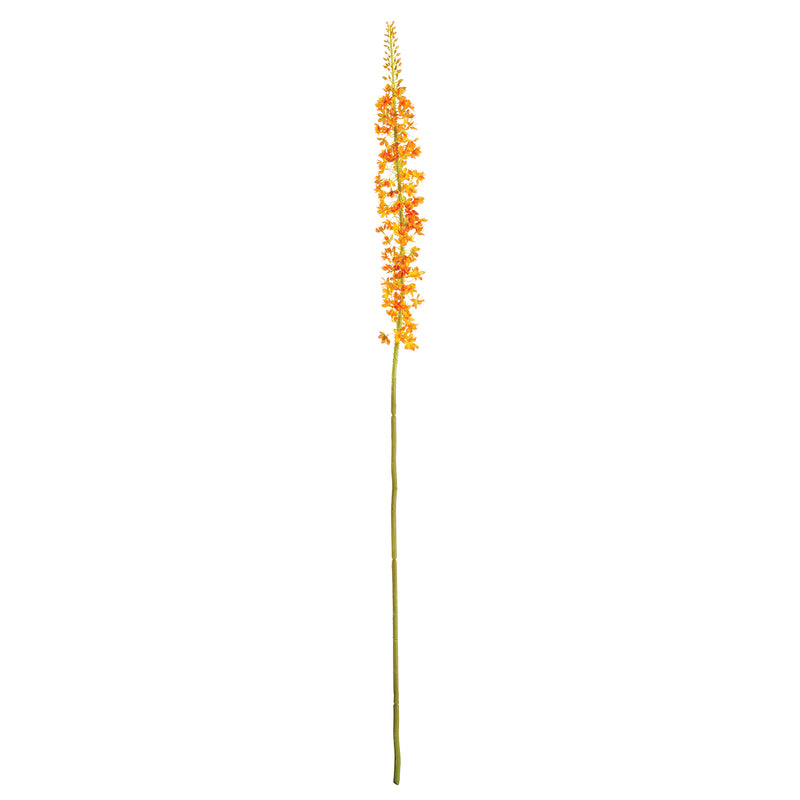 NAPA Home & Garden, EREMURUS STEM 46",GP279RG