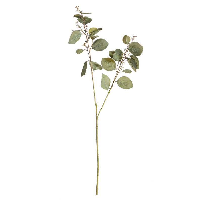 NAPA Home & Garden, SILVER DOLLAR EUCALYPTUS BRANCH 32",GP400