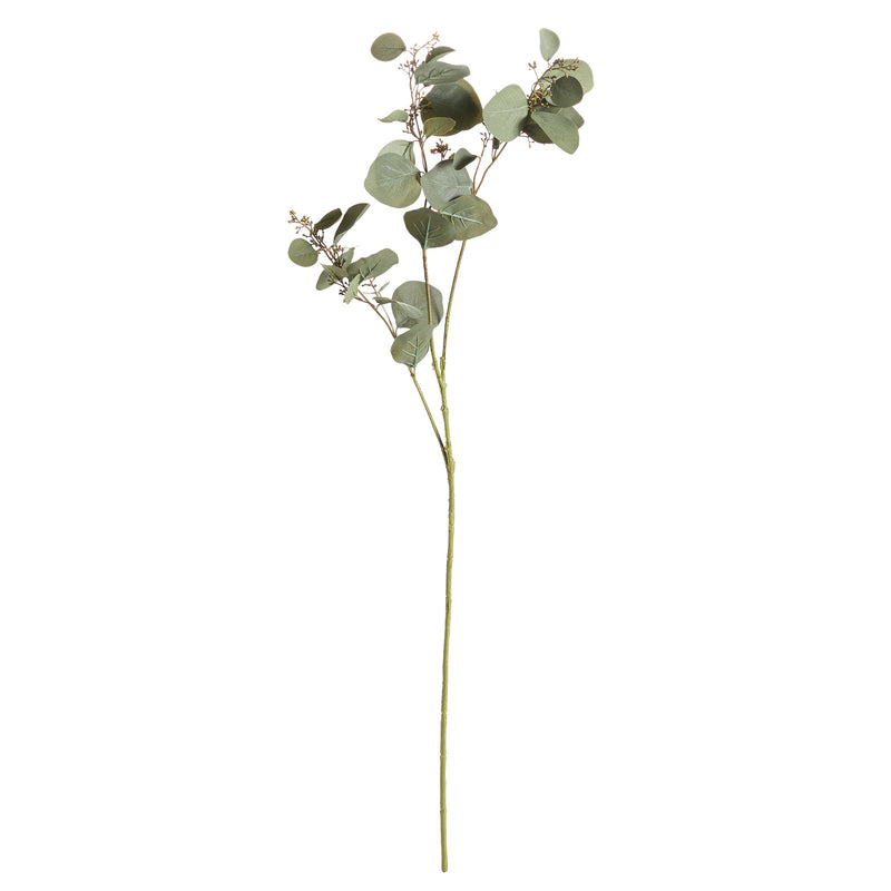 NAPA Home & Garden, SILVER DOLLAR EUCALYPTUS BRANCH 43",GP401