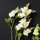NAPA Home & Garden, WISTERIA STEM