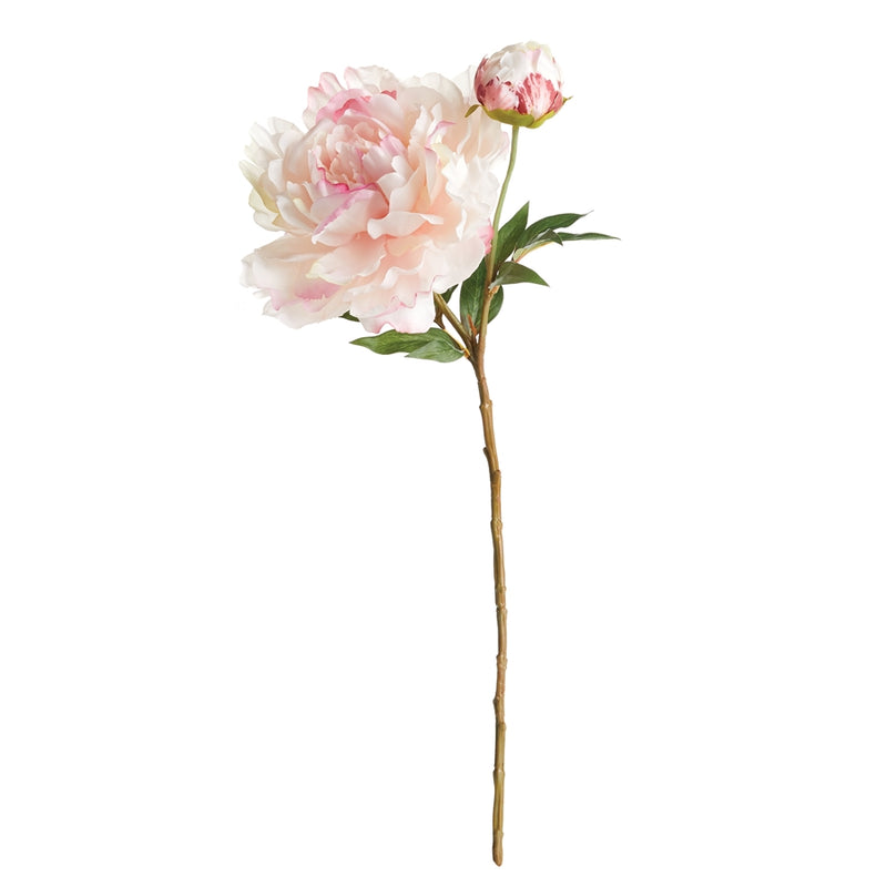 Napa Home Garden, PEONY STEM 21" PINK,gp413pkl