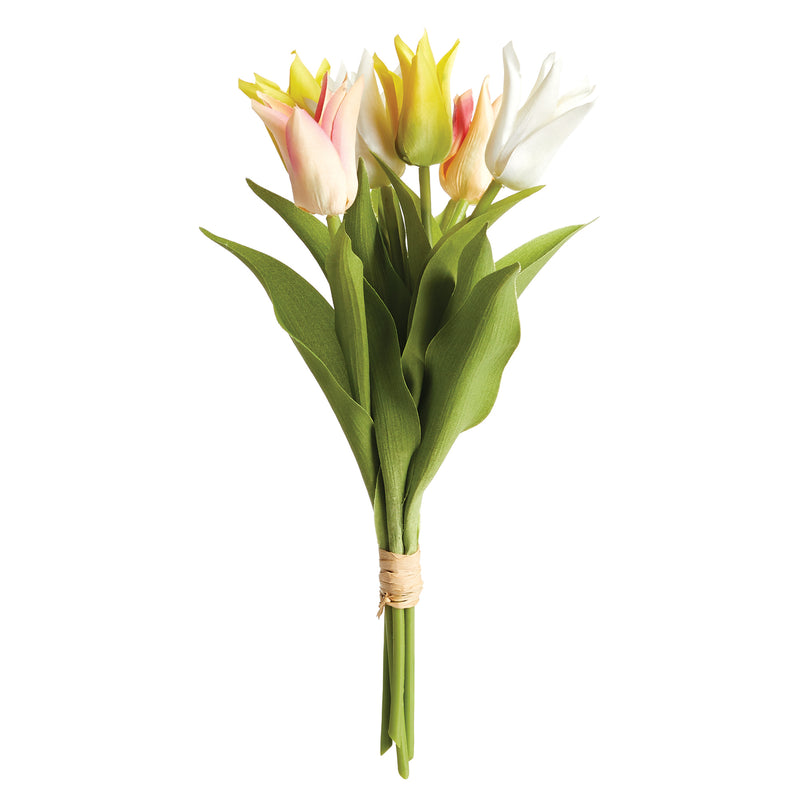 NAPA Home & Garden, LILY-FLOWERED TULIP STEMS, BUNDLE OF 6,GP414