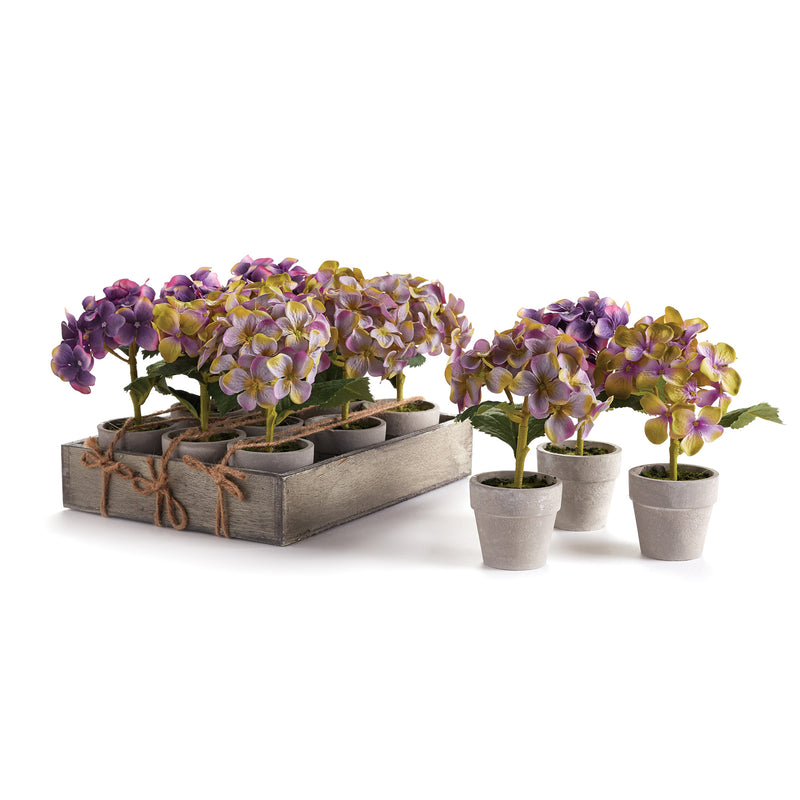 NAPA Home & Garden, MINI HYDRANGEA POTTED 6.5", SET OF 12,GP417