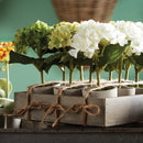 NAPA Home & Garden, MINI HYDRANGEA POTTED, SET OF 12