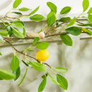 Seaside Retreat Garland, LED Lemon Garland, 72"L