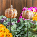 Harvest Blossoms Garden Stake,18"H, Resin Pumpkin Garden Stake , 2 Assorted, 4 of Each