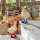 Hillside Pasture Garden Statuary, Resin Daisy Boot Duck, 8.5"H, Asst of 2