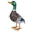 Metal Mallard Duck Garden Statue, Looking Up Pose. 16"H