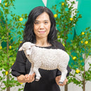 Hillside Pasture Garden Statuary, Resin Curly Wool Sheep, 16.5"L