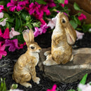 Hillside Pasture Garden Statuary, Resin Garden Bunny, 9"H, Asst of 2
