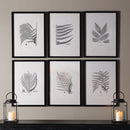 NAPA Home & Garden, FRAMED GRAY-TONE FERN PRINTS, SET OF 6,HC122