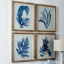 NAPA Home & Garden, FRAMED CORAL WATERCOLOR PRINTS, SET OF 4,HC126