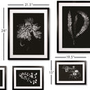 NAPA Home & Garden, X-RAY LEAF STUDY GALLERY, SET OF 9,HC150