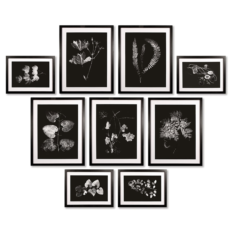 Napa Home Garden, X-RAY LEAF STUDY GALLERY ST/9,hc150