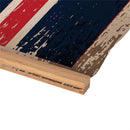 Washington Capitals, Canvas Wall Tapestry, Large, 54x36