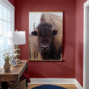 Hillside Pasture Indoor Wall Decor Canvas Tapestry, Bison 52"X 36" Canvas Tapestry
