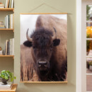 Hillside Pasture Indoor Wall Decor Canvas Tapestry, Bison 52"X 36" Canvas Tapestry