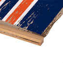 Denver Broncos, Canvas Wall Tapestry, Medium, 36x24