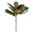 NAPA Home & Garden, GRAND MAGNOLIA COLLECTION