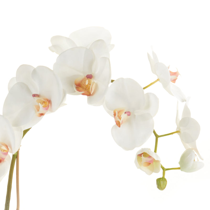 NAPA Home & Garden, PHALAENOPSIS ORCHID DROP-IN 26",K117W