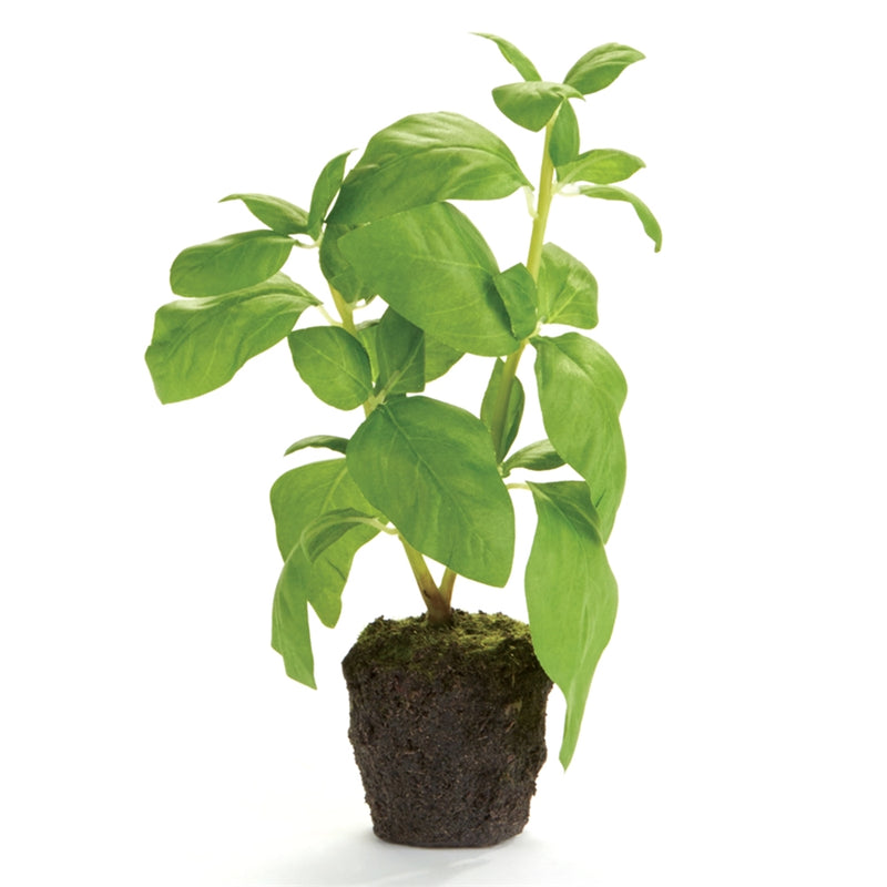 Napa Home Garden, BASIL 9" DROPIN,k122