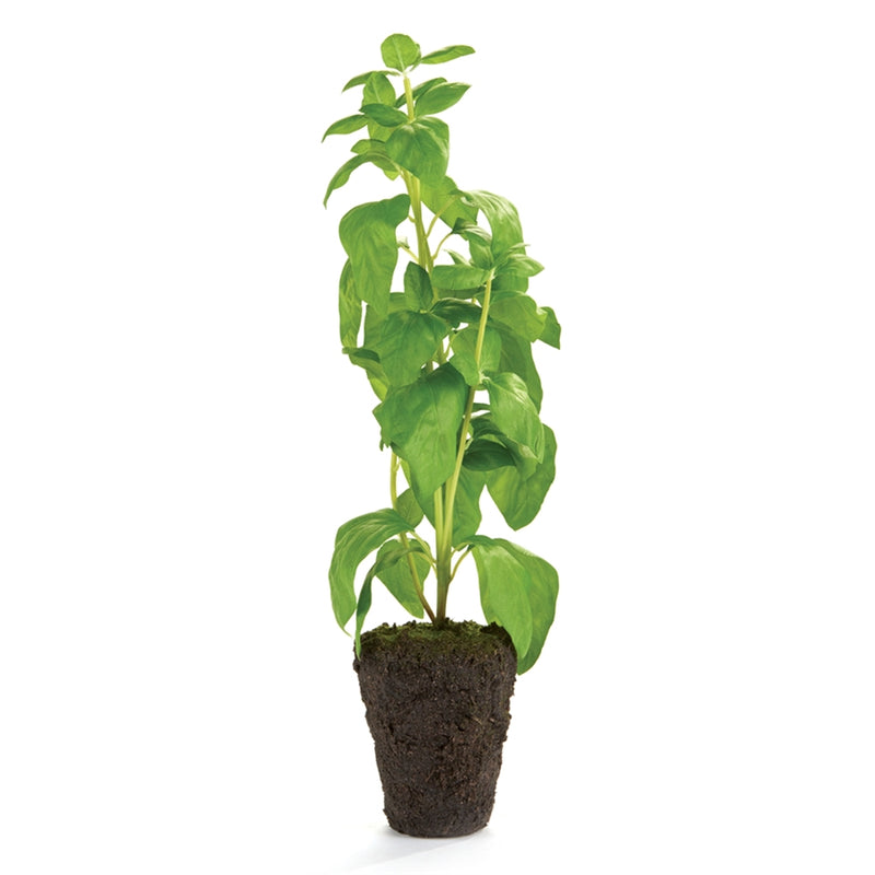 Napa Home Garden, BASIL 18" DROPIN,k123