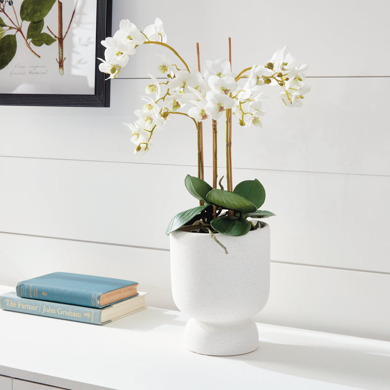 NAPA Home & Garden, PHALAENOPSIS ORCHID DROP-IN 20",K126W