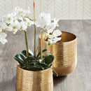 "NAPA Home & Garden, PHALAENOPSIS ORCHID DROP-IN COLLECTION"