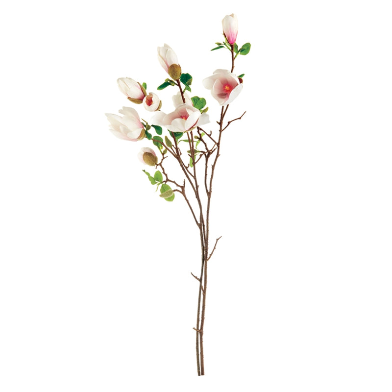 Napa Home Garden, JAPANESE MAGNOLIA BLOSSOMS BNDLE/2,k154