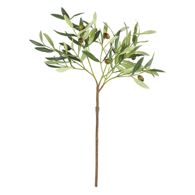 Napa Home Garden, OLIVE 22" STEM W OLIVES,k207