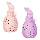 Hop Into Spring LED Table Decor Ceramic Bunny Sitting on Egg, 6"H, Asst of 2