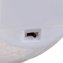 Heartfelt Cheer LED Table Decor Plastic Ornament with LED Star, Asst of 2, 6.5"H