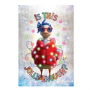 Is This Jolly Enough Lustre Garden Flag Garden