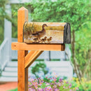 Mother Duck & Ducklings Mailbox Cover