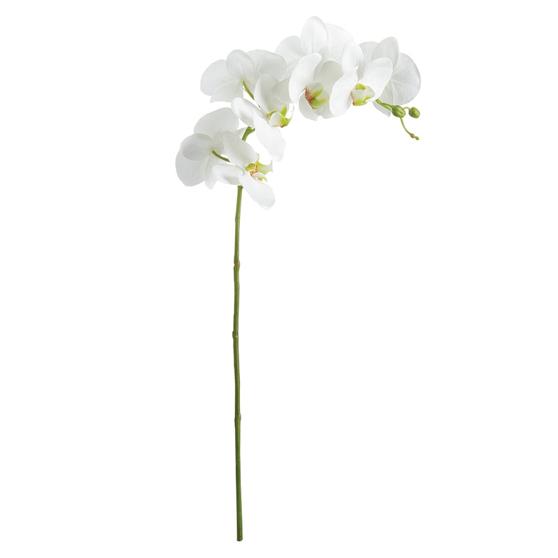 Napa Home Garden, PHALAENOPSIS ORCHID STEM 28",n2cc01