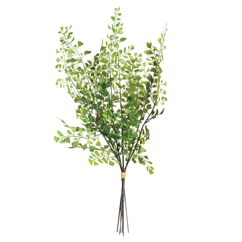 NAPA Home & Garden, MAIDENHAIR FERN STEMS, BUNDLE OF 7,N2CC02