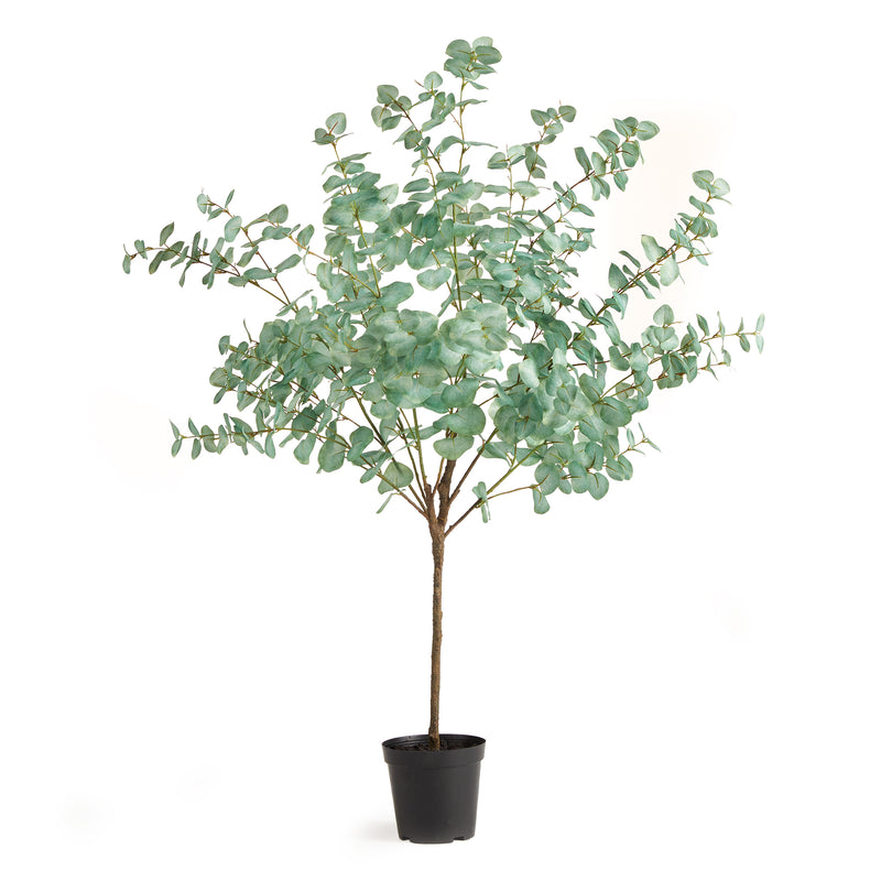 NAPA Home & Garden, EUCALYPTUS TREE DROP-IN 49",N2CC06