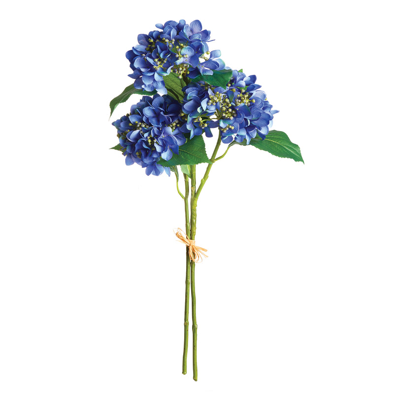 NAPA Home & Garden, HYDRANGEA STEMS, BUNDLE OF 2,N2CC07BLD