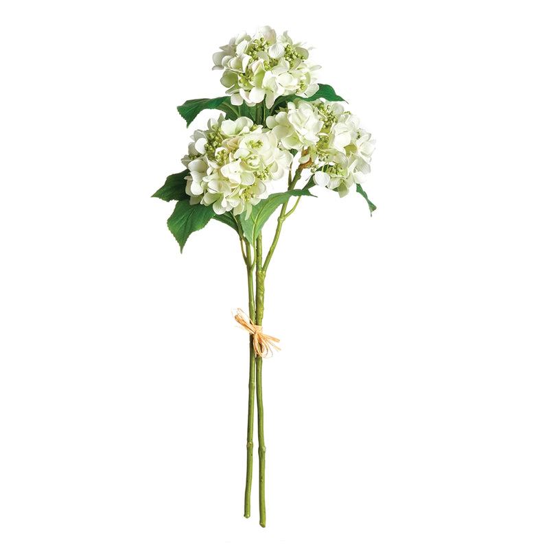 Napa Home Garden, HYDRANGEA STEMS BUNDLE/2,n2cc07wh