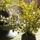 NAPA Home & Garden, MAIDENHAIR DROP-INS, SET OF 3,N2CC09