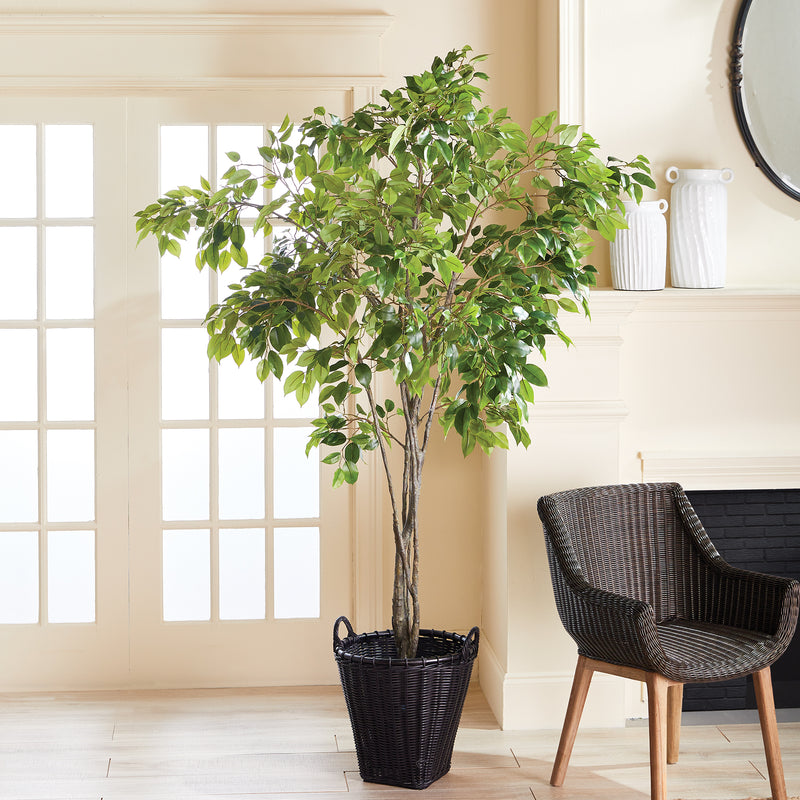 NAPA Home & Garden, GRAND FICUS TREE DROP-IN 8',N2CC12