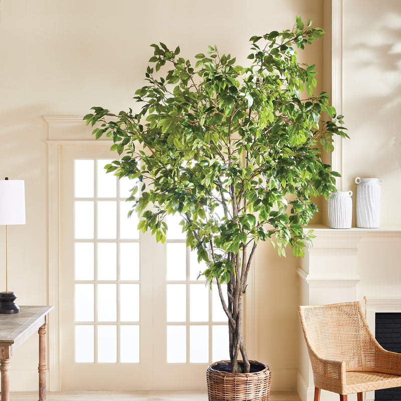 NAPA Home & Garden, GRAND FICUS TREE DROP-IN 10',N2CC13