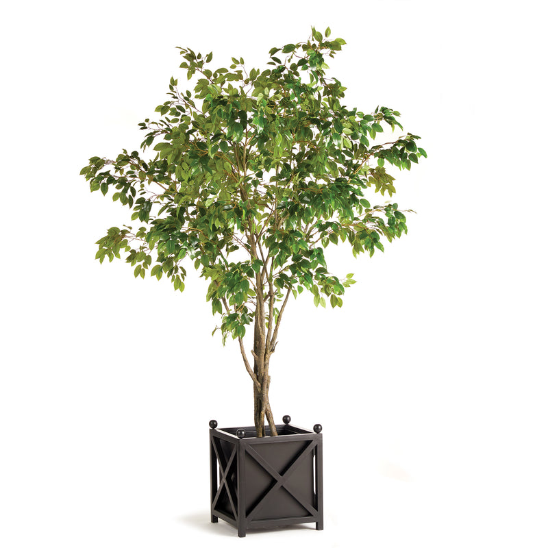 NAPA Home & Garden, GRAND FICUS TREE DROP-IN 10',N2CC13